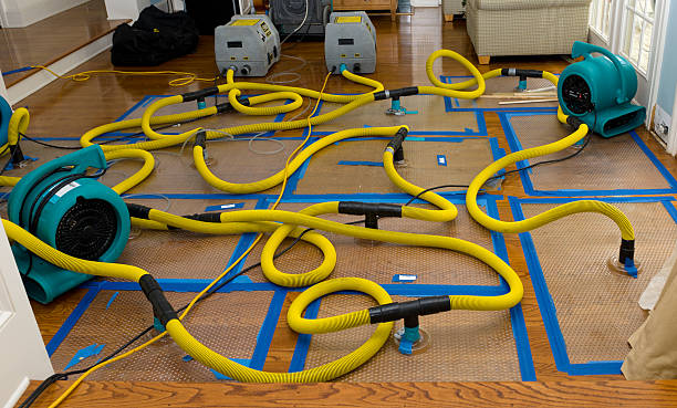 Professional Crawl Space Water Removal technician working in Coldwater, MI
